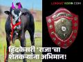 Hind Kesari bull Raja : हिंदकेसरीचा मान मिळवलेला ‘राजा’; विक्रीतही ठरला नंबर 'वन' वाचा सविस्तर - Marathi News | latest news Hind Kesari bull Raja: The 'King' who earned the respect of Hind Kesari; also became number 'one' in sales Read in detail | Latest agriculture News at Lokmat.com