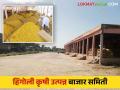 APMC Hingoli : सोमवारी शेतमालाचा लिलाव राहणार बंद - Marathi News | APMC Hingoli : Auction of farm produce will be closed on Monday | Latest agriculture News at Lokmat.com