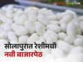 रेशीम शेतकऱ्यांना आनंदाची बातमी; कोष विक्रीसाठी सोलापुरात हिरजमध्ये नवीन मार्केट - Marathi News | Good news for silk farmers; New market in Hiraj in Solapur for cacoons sale | Latest agriculture News at Lokmat.com