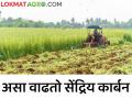 मातीतील सेंद्रिय कर्ब वाढवायचाय; तर करा ह्या पिकांची लागवड - Marathi News | To increase organic carbon in the soil; So plant this crops | Latest agriculture News at Lokmat.com
