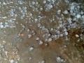 मुक्तागीरी,  बहिरममध्ये गारपीट; संत्रा, मका, गहू पिकांचे नुकसान - Marathi News | hail in Bahiram, Muktagiri; Damage to oranges, maize, wheat crops | Latest amravati News at Lokmat.com