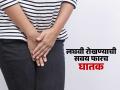 लघवी रोखून धरण्याची सवय फार घातक, किडनी डॅमेज होतेच पण ‘या’ मोठ्या आजारांचाही धोका - Marathi News | Holding urine for long time can damage kidney, know how dangerous urine holding side effects | Latest sakhi News at Lokmat.com