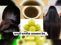 नातीचेच काय आजीचेही केस दिसतील काळेभोर-चमकदार- ताज्या रसरशीत आवळ्याचं तेल ‘असं’ करा... - Marathi News | homemade amla oil for hair fall control how to make amla oil at home for hair best homemade amla oil for hair growth | Latest sakhi News at Lokmat.com