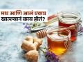 मध आणि आलं एकत्र करुन खाल्लं तर आरोग्यासाठी खरंच चांगलं असतं, खावं का रोज.. - Marathi News | What happens by eating honey and ginger together know its benefits | Latest sakhi News at Lokmat.com