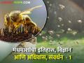 Honey Bee : मधमाशांचा इतिहास, विज्ञान आणि अधिवास, संवर्धन  - Marathi News | | Latest agriculture News at Lokmat.com