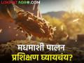 मधमाशी पालन प्रशिक्षण घ्यायचंय? नेमकं काय शिकवलं जातं? वाचा सविस्तर  - Marathi News | Latest News honey Beekeeping training from Malegaon Krishi Vigyan Kendra | Latest agriculture News at Lokmat.com