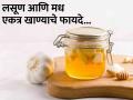 रोज सकाळी लसणाची एक कळी मधासोबत खा, डॉक्टरकडे जाण्याची येणार नाही वेळ! - Marathi News | Benefits of eating Garlic soaked in honey on an empty stomach | Latest health Photos at Lokmat.com