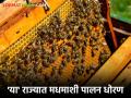 Agriculture News : मधमाशी पालन धोरण तयार करणारे 'हे' पहिले राज्य ठरले, वाचा सविस्तर  - Marathi News | Latest News Agriculture News Haryana becomes first state to formulate beekeeping policy read in detail | Latest agriculture News at Lokmat.com