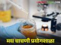 देशातील पाचवी मध चाचणी प्रयोगशाळा रांचीत, पूर्व भारतात आता मधाची क्रांती  - Marathi News | Latest News Country's 5th Honey Testing Laboratory in Ranchi by minister arjun munda | Latest agriculture News at Lokmat.com