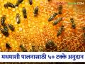 शेतकऱ्यांनो अतिरिक्त उत्पन्न कमवा; मधाच्या व्यवसायासाठी मिळणार ५०% अनुदान, अशी आहे योजना - Marathi News | 50 percent subsidy for beekeeping; Call for applications by 20th July | Latest agriculture News at Lokmat.com