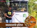 काय सांगताय मधमाशांचे हॉटेल.. हो पुण्यात मधमाशी संवर्धनासाठी सुरु झालंय 'हनी बी हॉटेल' - Marathi News | A special 'Honey Bee Hotel' is now in Pune for the conservation of honeybees | Latest agriculture News at Lokmat.com