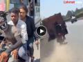 क्षणात खेळ खल्लास! एकाच मोटारसायकलवर तिघे, हातात रिव्हॉल्व्हर; रीलसाठी जीव गमावून बसले - Marathi News | The game is over in an instant! Three people on the same motorcycle, revolvers in their hands; They lost their lives for the reel | Latest social-viral News at Lokmat.com