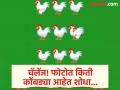 Optical illusion : फोटोत एकूण कोंबड्या किती सांगा आणि जीनिअस ठरा, तेही फक्त 15 सेकंदात! - Marathi News | Optical illusion : Find a total number of chickens in this picture | Latest social-viral News at Lokmat.com