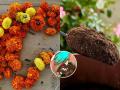 गणपतीला वाहिलेल्या फुलांचं काय करायचं? निर्माल्यापासून घरीच तयार करा ‘असं’ खत, बाग फुलेल छान - Marathi News | how to make fertilizer from nirmalya, how to make fertilizer at home | Latest sakhi News at Lokmat.com