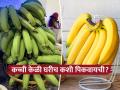 केमिकलयुक्त केळी खायची नसतील तर घरीच पिकवा, पाहा काही सोप्या आणि नॅचरल पद्धती - Marathi News | How to ripen bananas naturally at home | Latest sakhi News at Lokmat.com