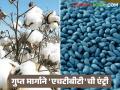 HTBT Cotton Seeds : गुप्त मार्गाने 'एचटीबीटी'ची एंट्री; सिंडीकेटसमोर कृषी विभाग हतबल? - Marathi News | latest news HTBT Cotton Seeds: 'HTBT' enters through secret route; Agriculture Department helpless in the face of syndicate? | Latest agriculture News at Lokmat.com