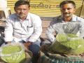 टँकरच्या पाण्यावर जगविलेला हुरडा बाजारात - Marathi News | Jawar grains hurada is in market, which is stocked on tanker water | Latest chhatrapati-sambhajinagar News at Lokmat.com