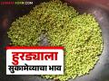 Hurda Bajar Bhav : हुरड्याला आला सुकामेव्याचा भाव; वाचा किलोला कसा मिळतोय दर? - Marathi News | Hurda Bajar Bhav : Sorghum hurda got price as like dry fruits; Read how is the price per kilo? | Latest agriculture News at Lokmat.com