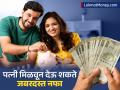'या' ४ ठिकाणी पत्नी मिळवून देऊ शकते जबरदस्त नफा; पाहा कोणत्या आहेत या स्कीम्स? - Marathi News | In these 4 places a wife can earn huge profits see what are these schemes know details | Latest business Photos at Lokmat.com