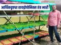 Hydroponic Fodder : कमी खर्चात हायड्रोपोनिक्सद्वारे धोटेंनी केली हिरव्या चाऱ्याची निर्मिती वाचा सविस्तर - Marathi News | Hydroponic Fodder : Dhote produces green fodder through hydroponics at low cost. Read in detail | Latest agriculture News at Lokmat.com