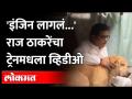 राज ठाकरे ट्रेनमध्ये एका खास पाहुण्याला भेटले, व्हिडीओ होतोय व्हायरल | MNS | Raj Thackeray in Train - Marathi News | Raj Thackeray met a special guest in the train, the video is going viral MNS | Raj Thackeray in Train | Latest maharashtra Videos at Lokmat.com