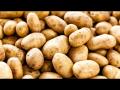 रोज बटाटे खाणं किती योग्य आणि काय याने वजन वाढतं? जाणून घ्या सत्य - Marathi News | Is your potatoes healthy daily eating is bad or good | Latest health News at Lokmat.com