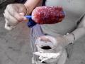 गारेगार बर्फाचा गोळा आरोग्याला हानीकारक - Marathi News | Ice gola is harmful to health | Latest nagpur News at Lokmat.com