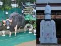 Kolhapur: इचलकरंजीत मतदान केंद्रांवर गवा, चांद्रयानच्या प्रतिकृती - Marathi News | Maharashtra assembly vidhan sabha election 2024 Replica of Gava, Chandrayan at Ichalkaranjit Polling Stations | Latest kolhapur News at Lokmat.com Kolhapur: इचलकरंजीत मतदान केंद्रांवर गवा, चांद्रयानच्या प्रतिकृती - Marathi News | Maharashtra assembly vidhan sabha election 2024 Replica of Gava, Chandrayan at Ichalkaranjit Polling Stations | Latest kolhapur News at Lokmat.com