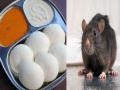 इडलीमध्ये आढळली चक्क उंदराची विष्ठा, सांगलीतील घटना - Marathi News | Rat feces found in idli in Sangli Complaint to the Food and Drug Administration Department | Latest sangli News at Lokmat.com