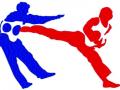 राष्ट्रीय तायक्वांदोसाठी महाराष्ट्र संघ जाहीर - Marathi News | Maharashtra team for national taqwondo | Latest other-sports News at Lokmat.com
