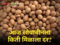 Today's Soybean Rates : आजचे सोयाबीनचे बाजारदर - Marathi News | Todays Soybean Rates maharashtra agriculture farmer market yard price | Latest agriculture News at Lokmat.com