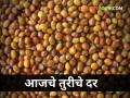 आज राज्यात तुरीला किती मिळाला दर? - Marathi News | maharashtra agriculture farmer todays tur market yard rates | Latest agriculture News at Lokmat.com