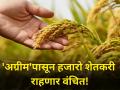 अखेर निराशाच; 'अग्रीम' जाहीर पण हजारो शेतकरी राहणार वंचित! - Marathi News | agrim advance crop insurance farmer crop insurance company rain crisis diwali festival | Latest agriculture News at Lokmat.com