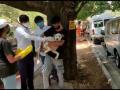 ठाण्यातील भटक्या कुञ्यांचे अँटी रेबिज लसीकरण - महाराष्ट्र नवनिर्माण सेना व 'पाॅज' संस्थेचा अनोखा उपक्रम - Marathi News | Anti-rabies vaccination of nomadic wells in Thane * - A unique initiative of Maharashtra Navnirman Sena and 'Paaz' | Latest thane News at Lokmat.com