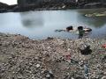 धक्कादायक ! परळीत खदानीतील पाण्यात बुडून तीन भावंडांचा मृत्यू - Marathi News | Shocking! Three siblings drown in Parli mine | Latest beed News at Lokmat.com