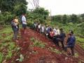 ज्योतिर्लिंग मंदिर केळोशी खुर्द देवराई संगोपनासाठी सरसावले शेकडो हात ! - Marathi News | Hundreds of hands rushed to Jyotirlinga temple to take care of Khurd Devrai! | Latest kolhapur News at Lokmat.com