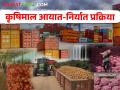 आयात निर्यात व्यवसाय कसा सुरु करावा? यासाठी काय कागदपत्रे लागतात - Marathi News | How to start import export business? What documents are required for this? | Latest agriculture News at Lokmat.com
