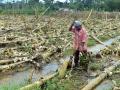 हवामान बदलाचा राज्यातील शेतपिकांवर वाईट परिणाम - Marathi News | Adverse effects of climate change on agriculture in the state | Latest nagpur News at Lokmat.com