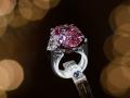 सर्वाधिक बोली लागलेला दुर्मीळ हिरा - Marathi News | incomparable pink diamond could smash record at geneva auction | Latest jarahatke Photos at Lokmat.com