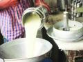 दूध उत्पादन वाढीसाठी आणखी १३२६ गावांचा समावेश - Marathi News | 1326 more villages are added to increase milk production | Latest akola News at Lokmat.com