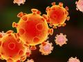 CoronaVirus in Nagpur : चिंताजनक, बाधितांची संख्या वाढली - Marathi News | CoronaVirus in Nagpur: Worrying, the number of infected has increased | Latest nagpur News at Lokmat.com