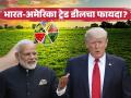 भारत-अमेरिका ट्रेड डीलचा भारतासह अमेरिकेतील शेतकऱ्यांना काय फायदा होणार, वाचा सविस्तर  - Marathi News | Latest news How will the India-US trade deal benefit farmers in India and America Read in detail | Latest agriculture News at Lokmat.com