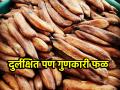सुकवलेलं केळं म्हणजे 'सुपरफूड'च! एक 'सुकेळं' करतं झटक्यात 'रिचार्ज', वाचा आरोग्यदायी फायदे - Marathi News | | Latest health News at Lokmat.com