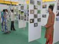 डोंबिवलीत इंडियन फेस्टिव्हल ऑफ ऑर्टला आजपासून सुरूवात - Marathi News | Dombivliit Indian Festival of Art begins today | Latest thane News at Lokmat.com