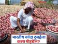 Kanda Niryat : भारतातील कांदा व्हाया कराची न जाता आता थेट जाणार दुबईत, वाचा सविस्तर - Marathi News | Latest News Kanda Niryat Indian onion will now go directly to Dubai instead of going to Karachi | Latest agriculture News at Lokmat.com