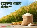 Indrayani Rice : इंद्रायणी भाताची गोष्ट! कुठं आणि कसं तयार झालं हे सुगंधित वाण? वाचा सविस्तर - Marathi News | Latest News Indrayani variety was developed in the rice research center at Vadgaon near Pune | Latest agriculture News at Lokmat.com
