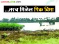 पूर, अतिवृष्टीमुळे पिकांचे नुकसान झालेय या क्रमांकावर तक्रार नोंदवा - Marathi News | Report damage to crops due to floods, heavy rains on this number | Latest agriculture News at Lokmat.com
