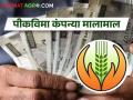 पिकपेरा ४० लाख हेक्टरवर विमा मात्र ४९ लाख हेक्टरचा; हे कसं काय? - Marathi News | Crop Sowing on 40 lakh hectares but Crop insurance on 49 lakh hectares; How is this? | Latest agriculture News at Lokmat.com