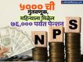 NPS मध्ये ₹५००० ची गुंतवणूक केली की किती मिळेल Pension? अवाक् करेल तुम्हाला मिळणारा रिटर्न, आजच सुरू कराल गुंतवणूक - Marathi News | How much pension will you get if you invest rs 5000 in NPS The returns you will get will amaze you start investing today | Latest business Photos at Lokmat.com