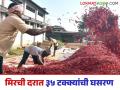 Lal Mirchi Market : वर्षभरात लाल मिरची दरात 35 टक्क्यांची घसरण, काय आहे कारण? वाचा सविस्तर - Marathi News | Latest News Lal Mirchi Market Red chilli prices have fallen by 35 percent in year see details | Latest agriculture News at Lokmat.com